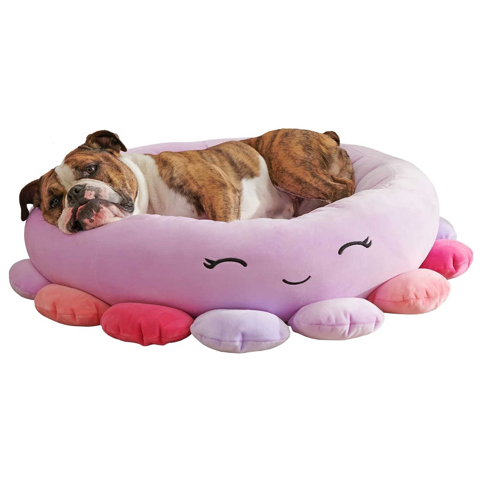 Dogs Can Get In On the Squishmallows Trend With These New Toys