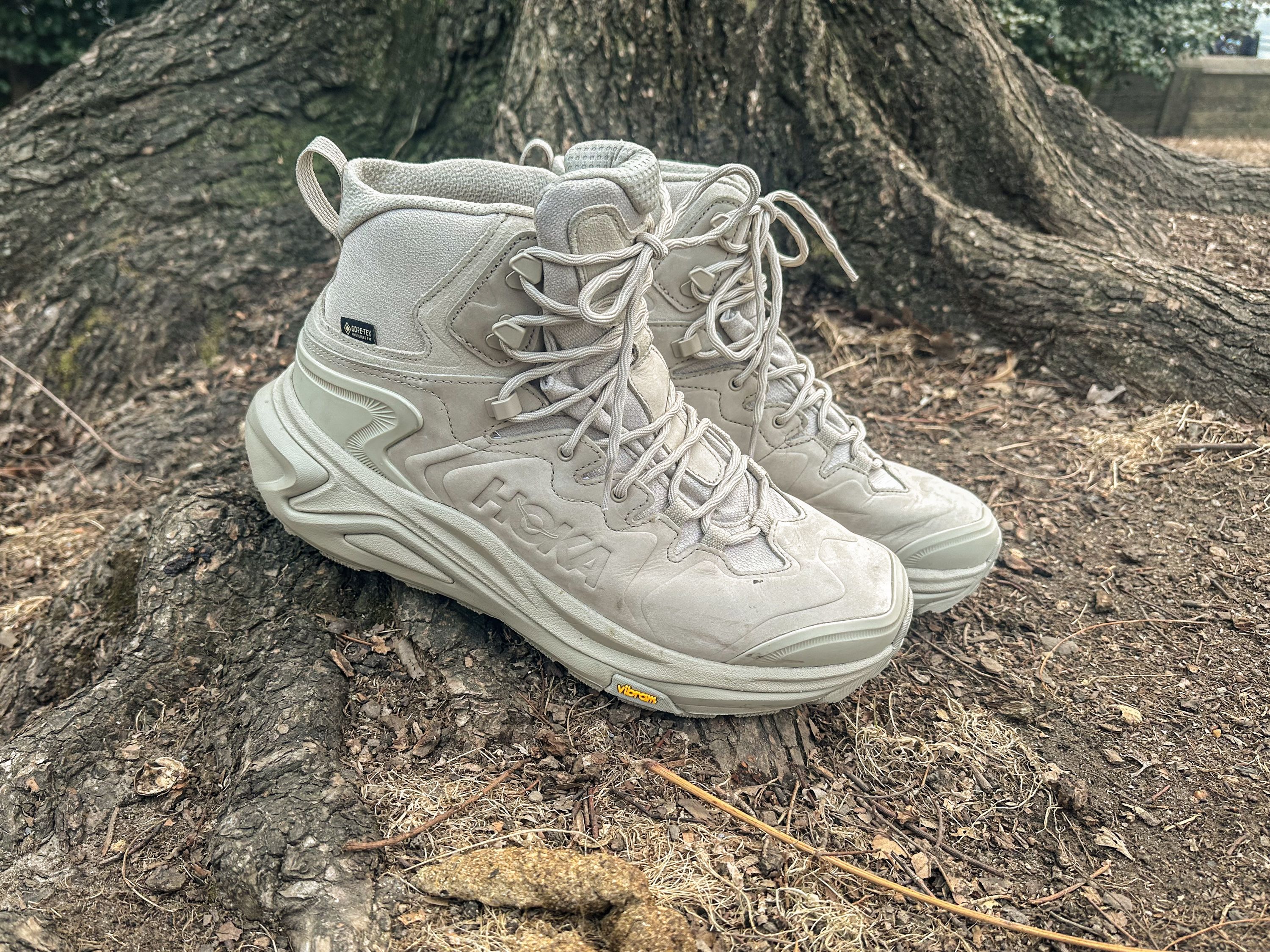 The Best Lightweight Hiking Boots in 2025 Best Waterproof
