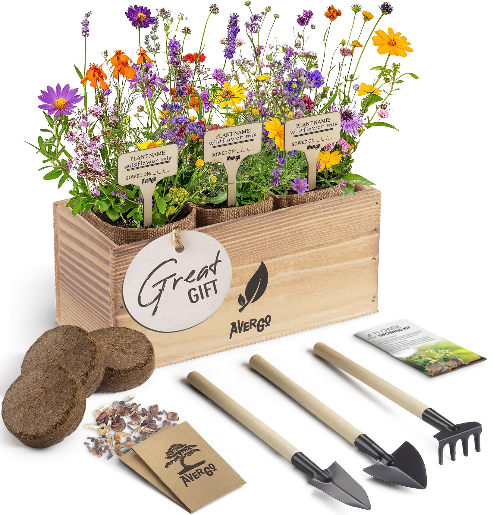 The Best Amazon Big Spring Sale Plant Deals 2025