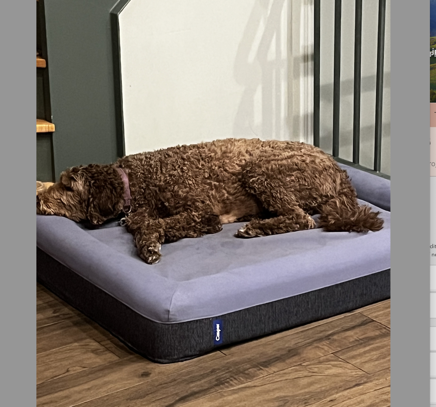 Egg Crate Akc Orthopedic Dog Bed Egg Crate American Kennel Club