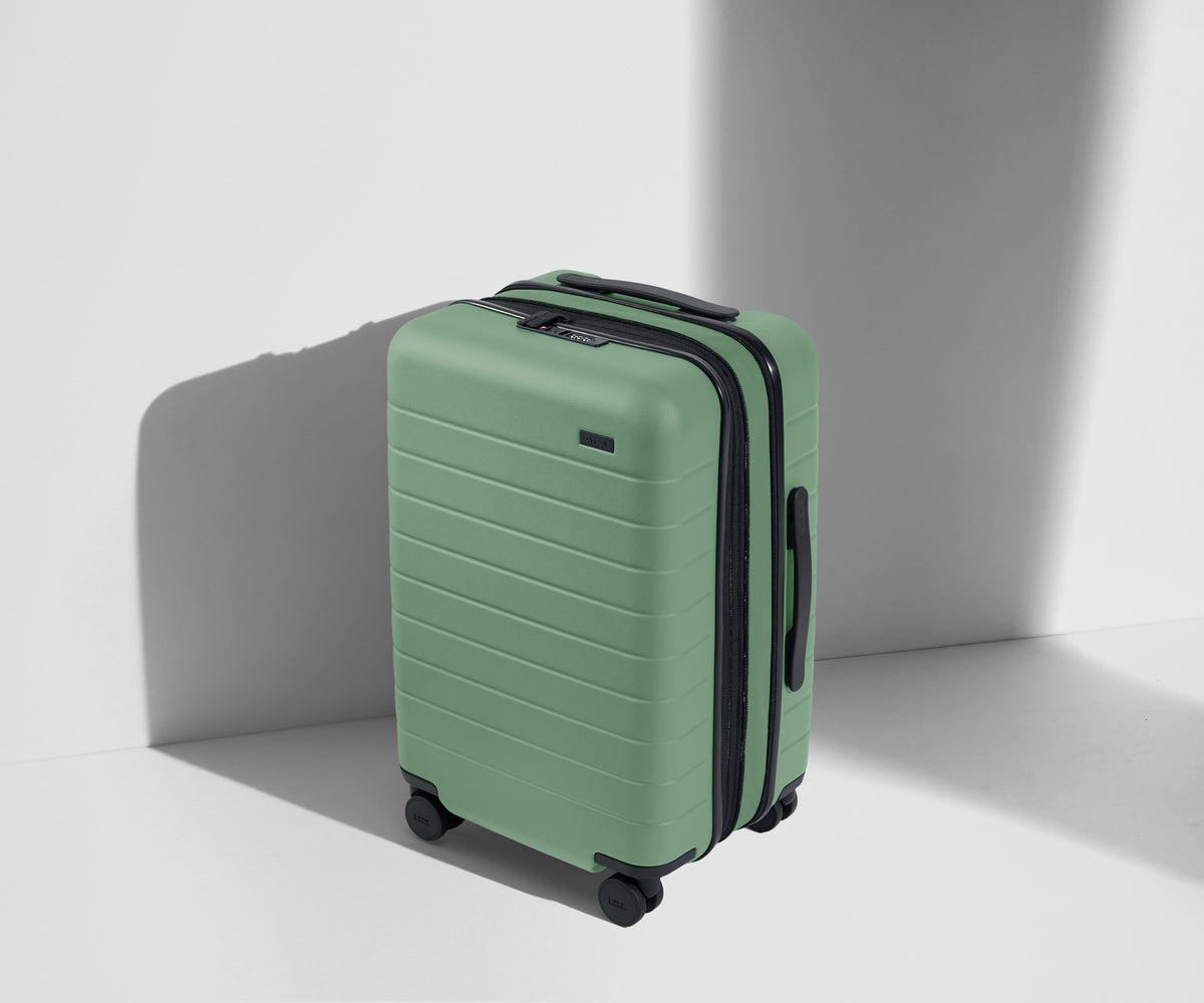 Checked Luggage Best Away Luggage Alternative Away Luggage Review