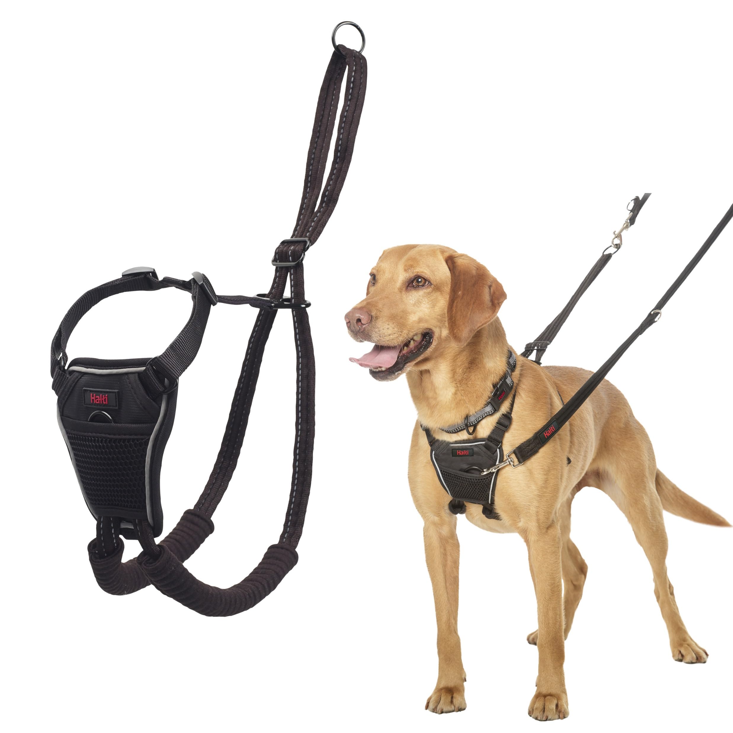 11 best dog harnesses 2025 UK