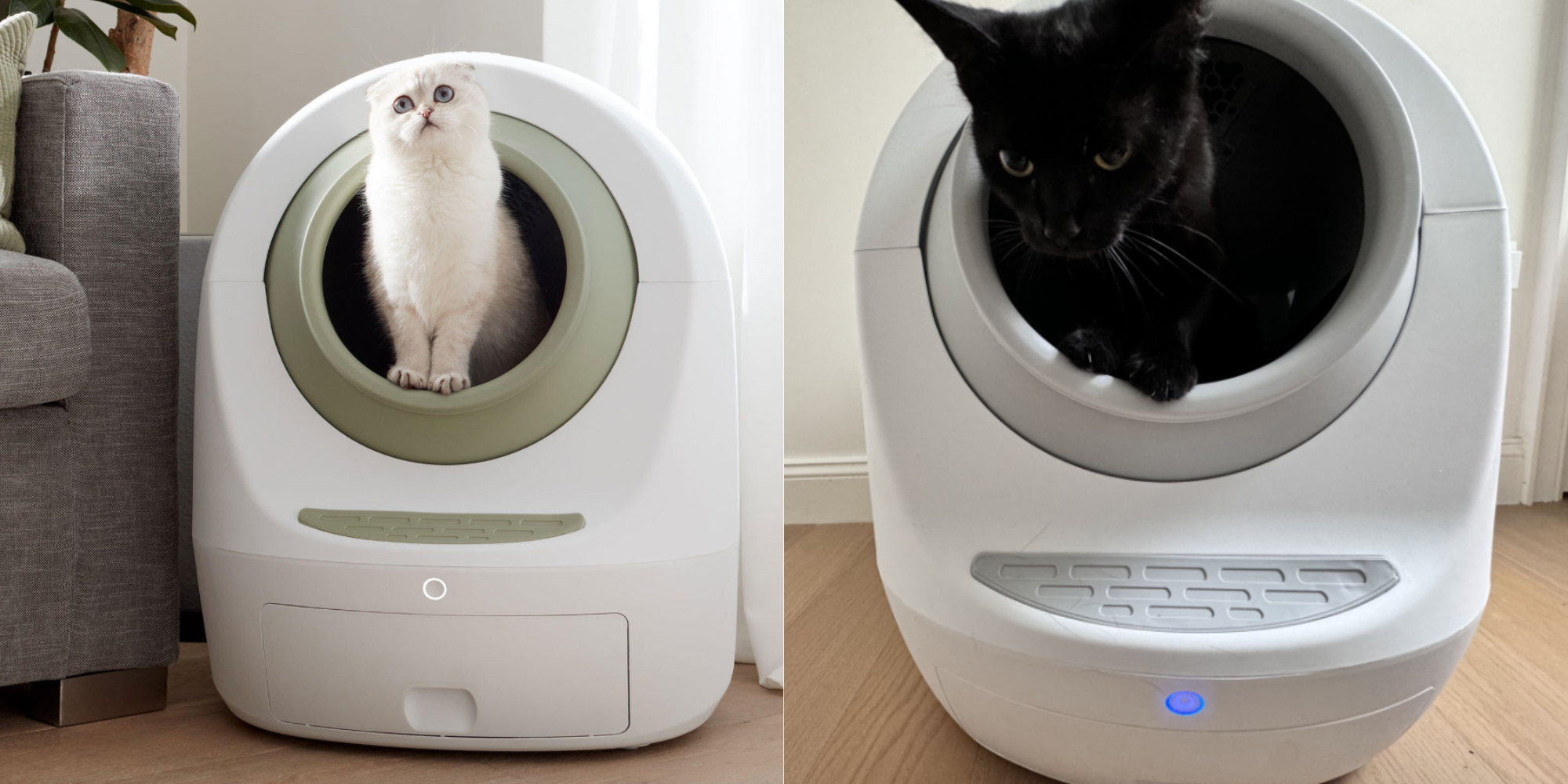 Self Cleaning Dog Litter Box Walmart The Best Self-Cleaning Litter