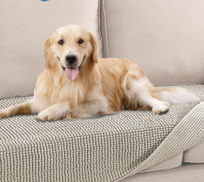 Best Couch Covers for Dogs and Cats of 2025