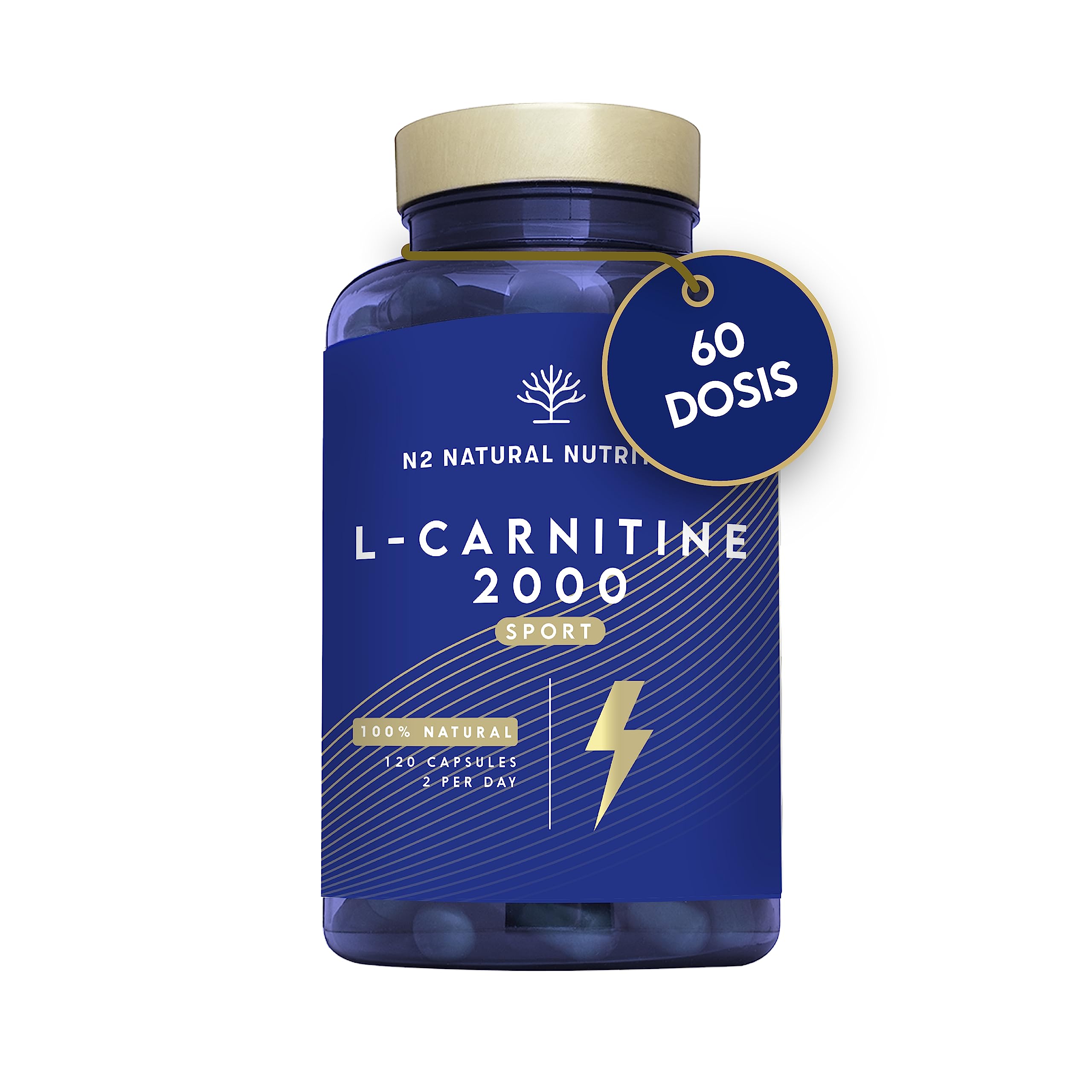 l carnitina testosterona L-Carnitina: un suplemento de aminoácidos para deportistas main image 1