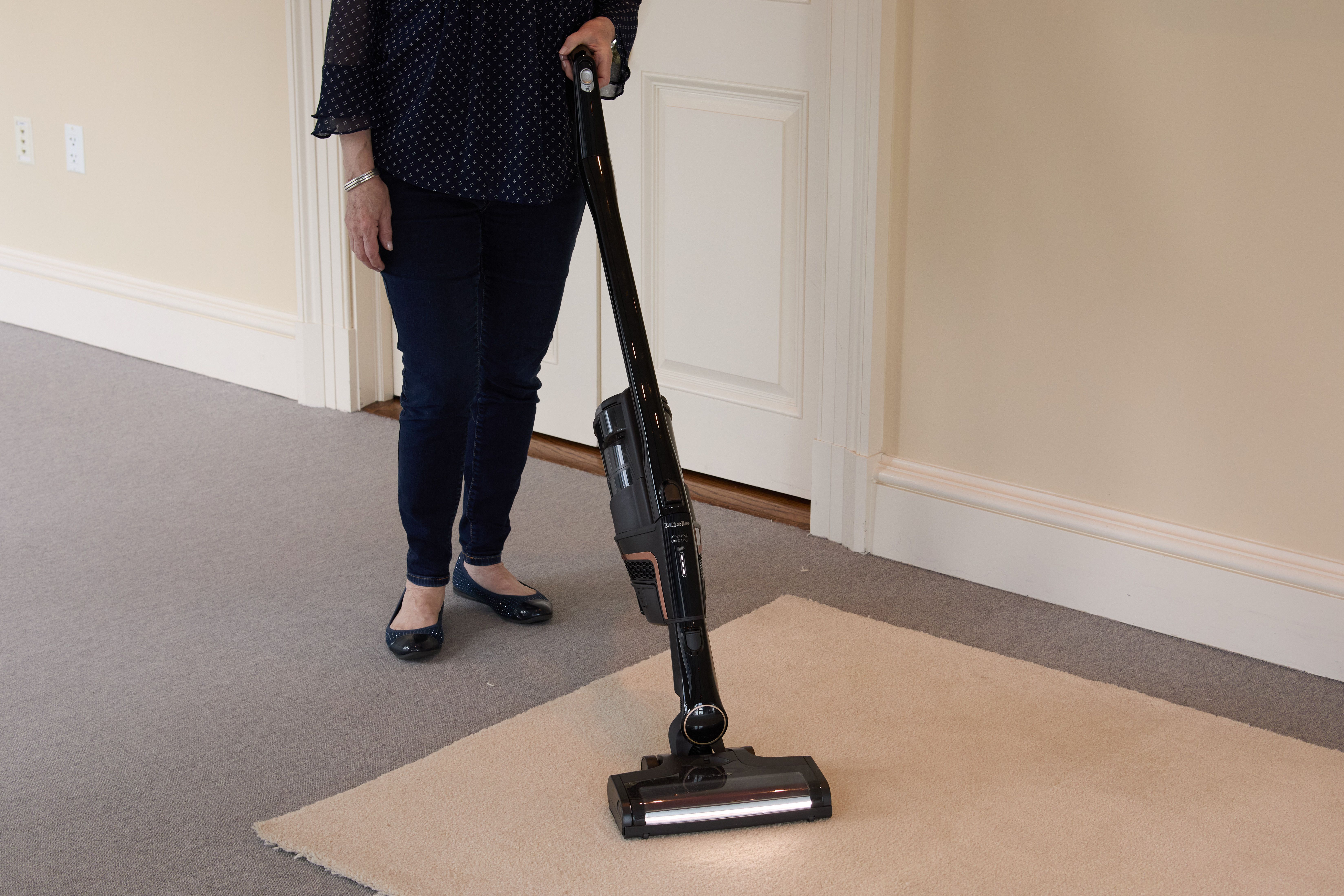 Pet Hair Top 10 Best Cordless Vacuum Cleaners Best Cordless