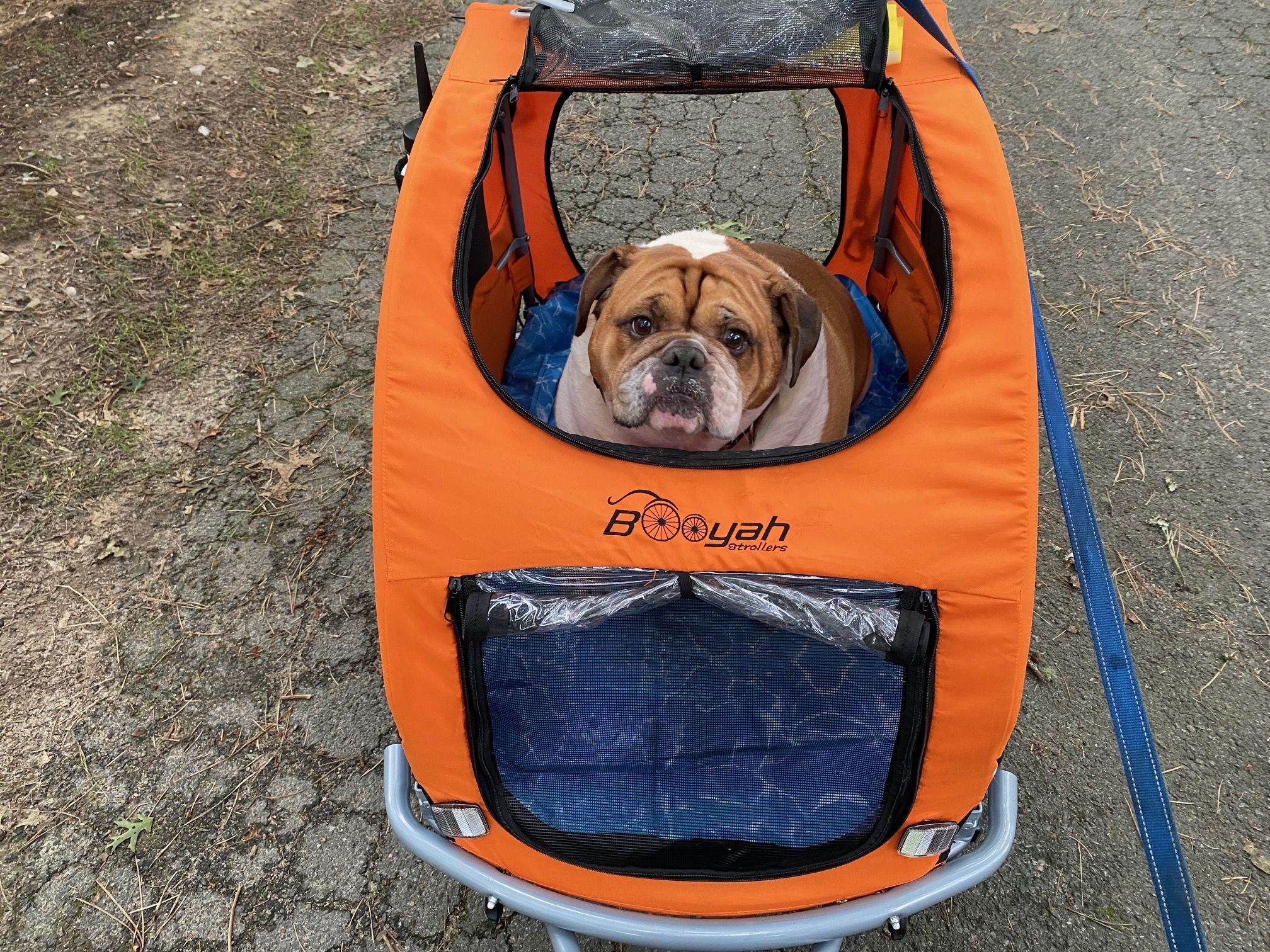 1080 Windforce Oc 1080 Gigabyte G1 Gv N1080wf3oc 8gd Gigabyte Gtx