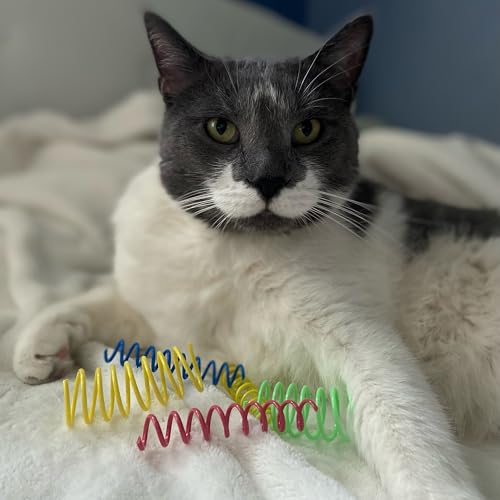 Our 17 Favorite Cat Toys to Awaken Your Beast