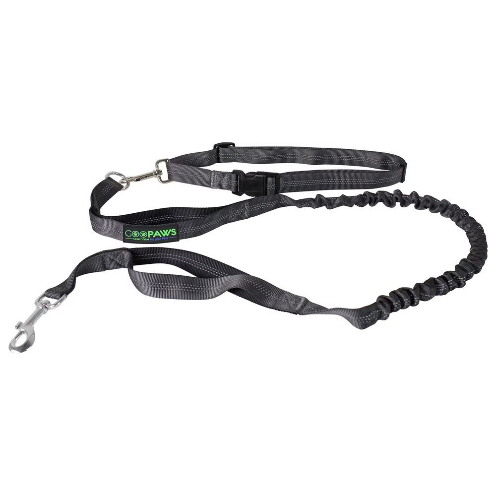 The Best Dog Leashes for Runners of 2025