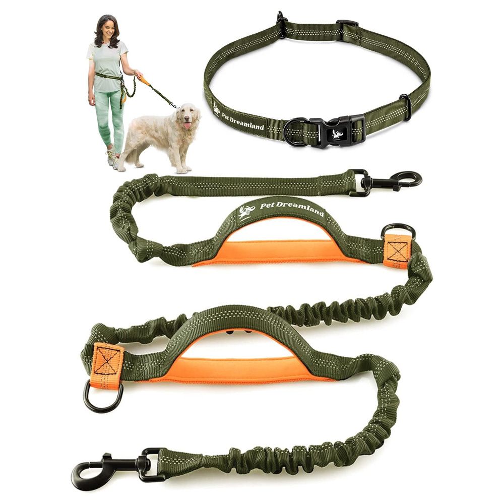 The Best Dog Leashes for Runners of 2025
