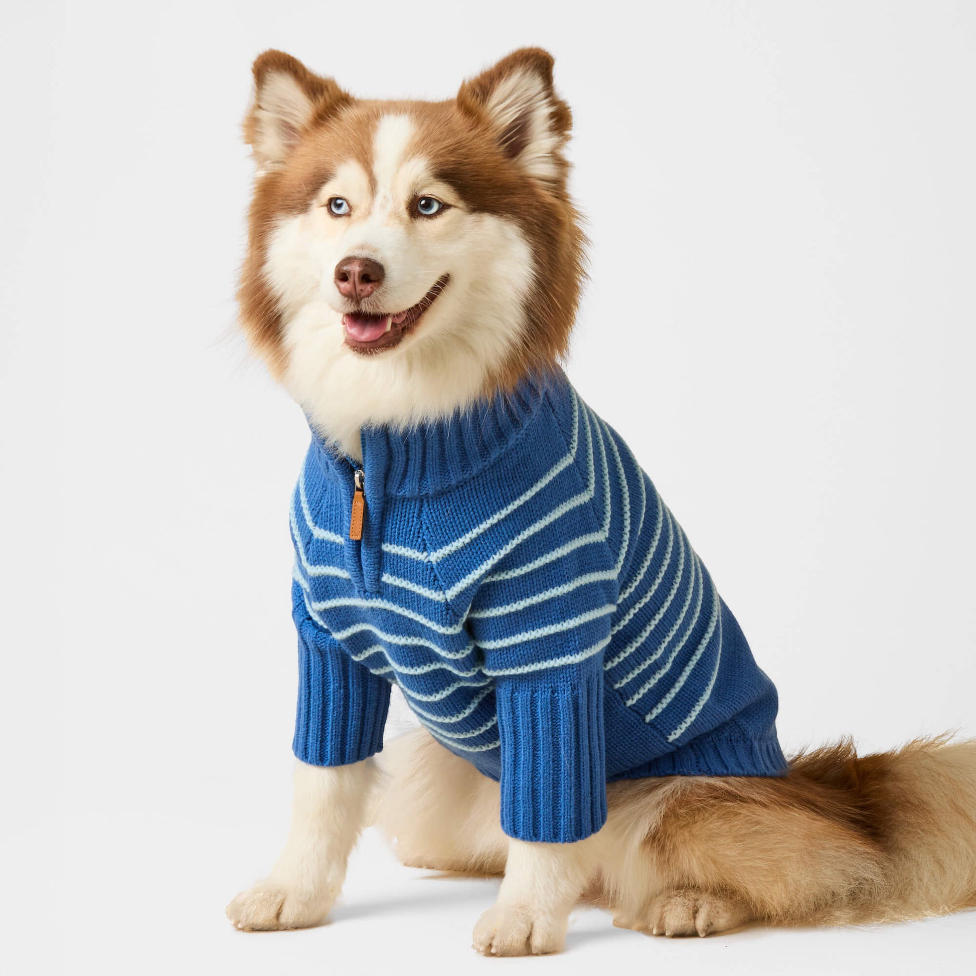 dog sweater measurements GABLE main image 0