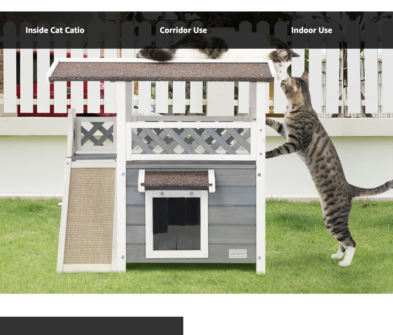 Best Outdoor Cat Houses for Shelter From the Weather