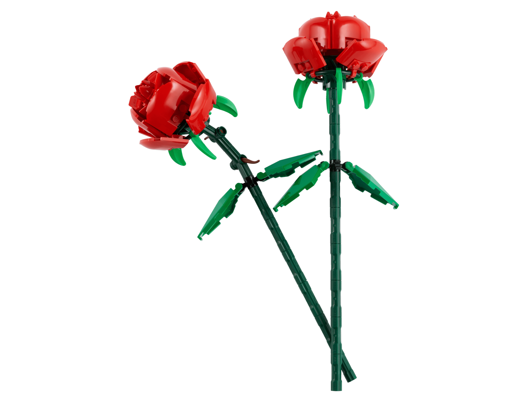 Bouquet Di Rose Rosse. Idea Regalo Per San Valentino. Fioraio Con in Mano Un Grande Bouquet Fresco. Fotografia Stock - Immagine di felice, fresco: 208176328
