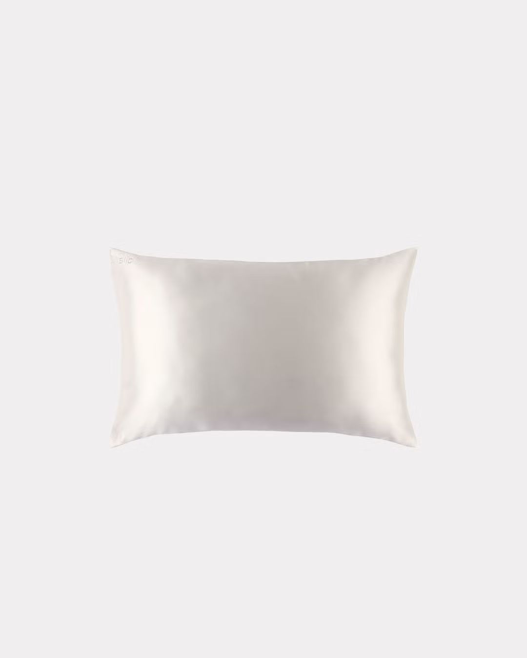 Silk Zippered Pillowcase