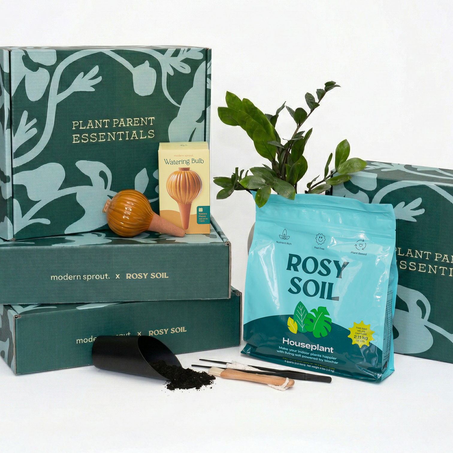 50 Genius Gifts That Plant Lovers Will Actually Appreciate